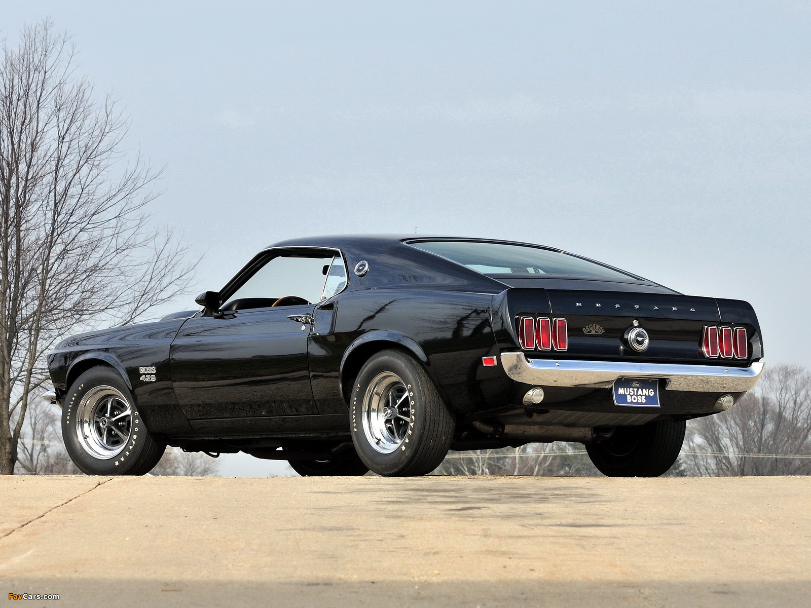 Photos of Mustang Boss 429 1969 (1600 x 1200)