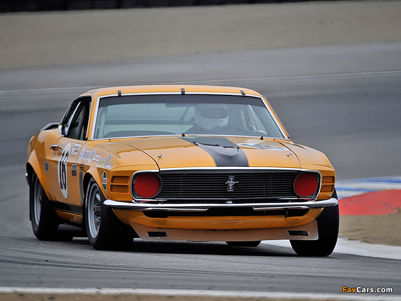 Photos of Mustang Boss 302 Trans-Am Race Car 1970 (800 x 600)