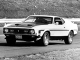 Photos of Mustang Boss 351 1971