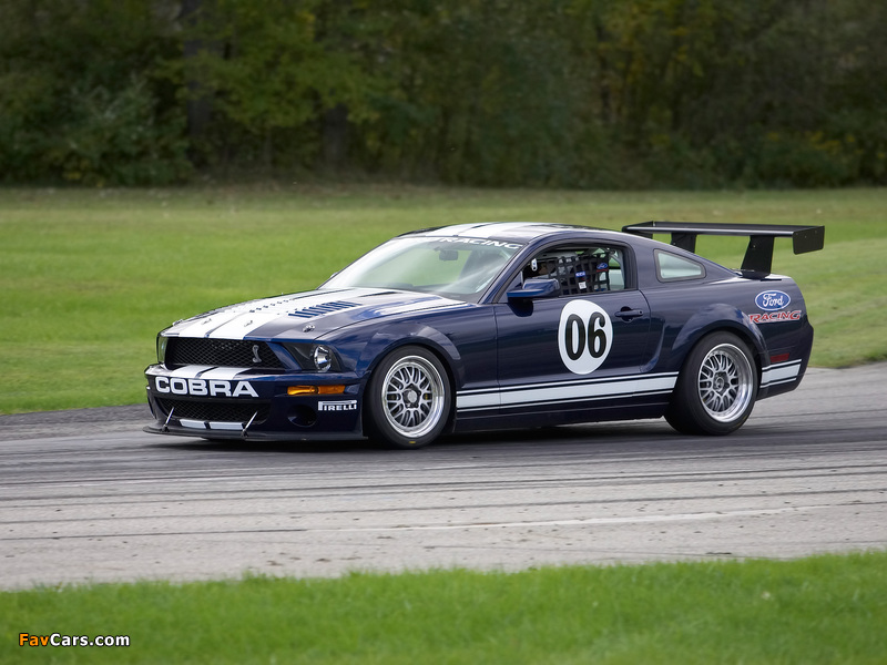 Photos of Mustang FR500 GT 2006 (800 x 600)