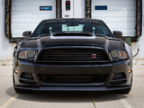Photos of Roush RS 2013