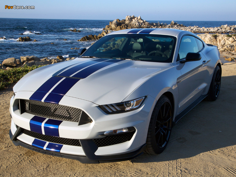 Photos of Shelby GT350 Mustang 2015 (800 x 600)