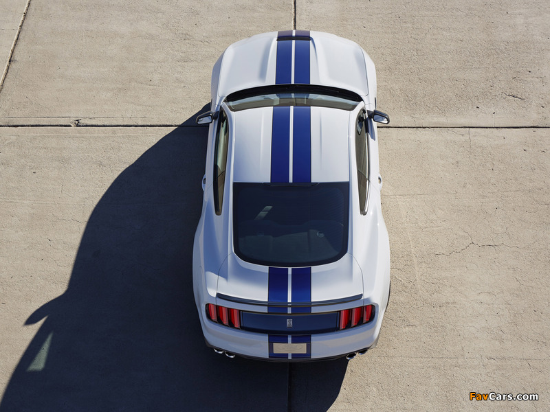 Photos of Shelby GT350 Mustang 2015 (800 x 600)