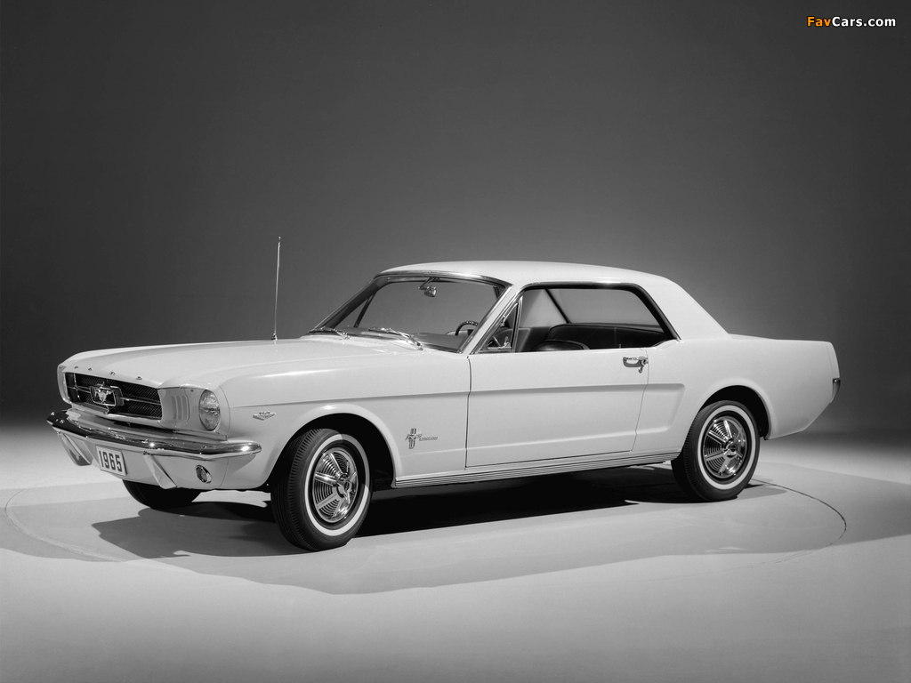 Pictures of Mustang Coupe 1965 (1024 x 768)