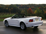 Pictures of Mustang SVT Cobra Convertible 1999–2002