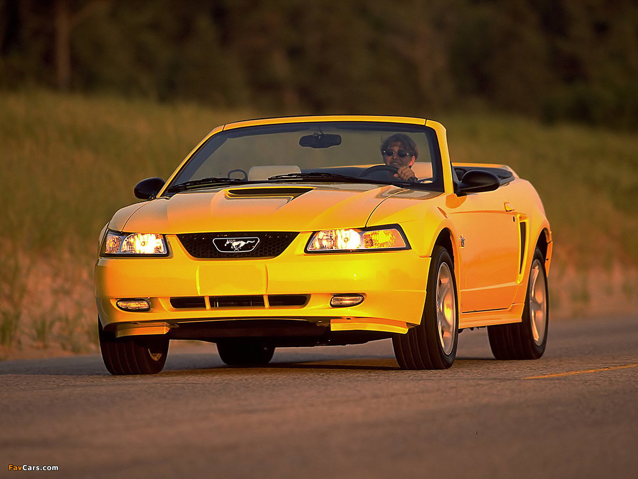Pictures of Mustang GT Convertible 1999–2004 (1280 x 960)