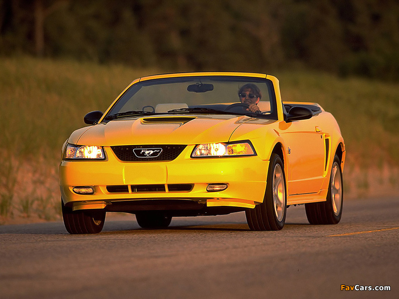 Pictures of Mustang GT Convertible 1999–2004 (800 x 600)