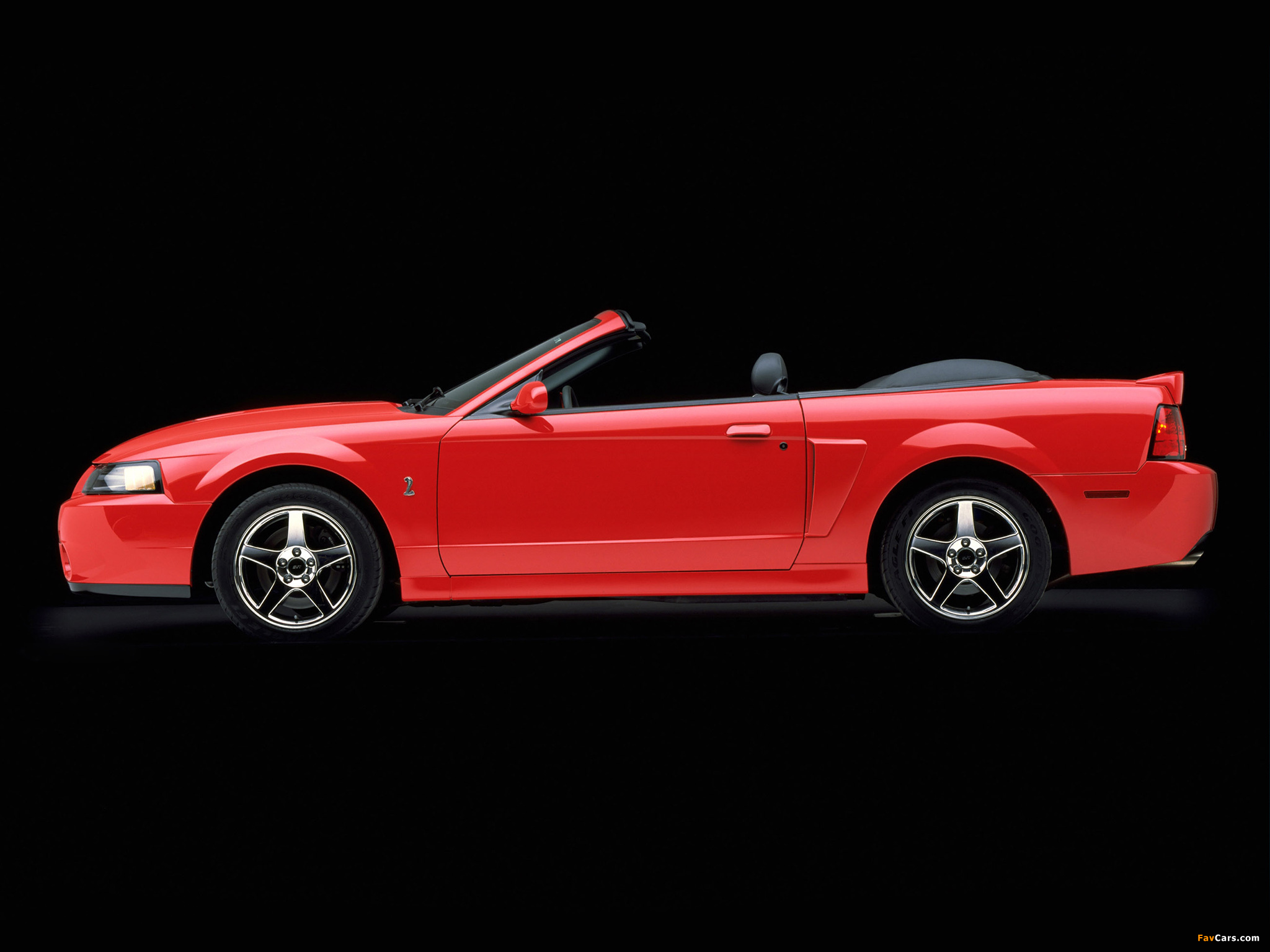 Pictures of Mustang SVT Cobra Convertible 2003–04 (2048 x 1536)
