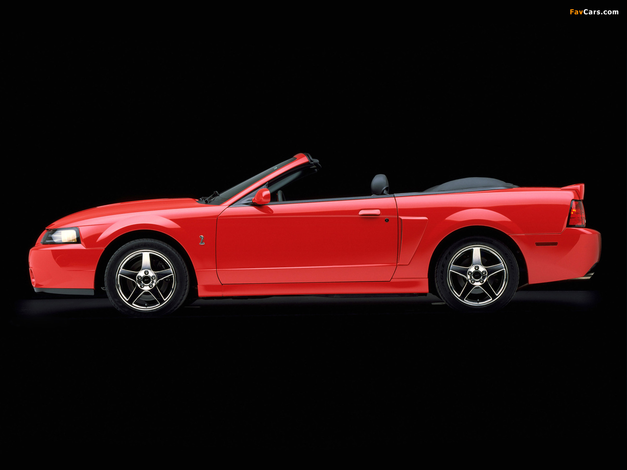 Pictures of Mustang SVT Cobra Convertible 2003–04 (1280 x 960)