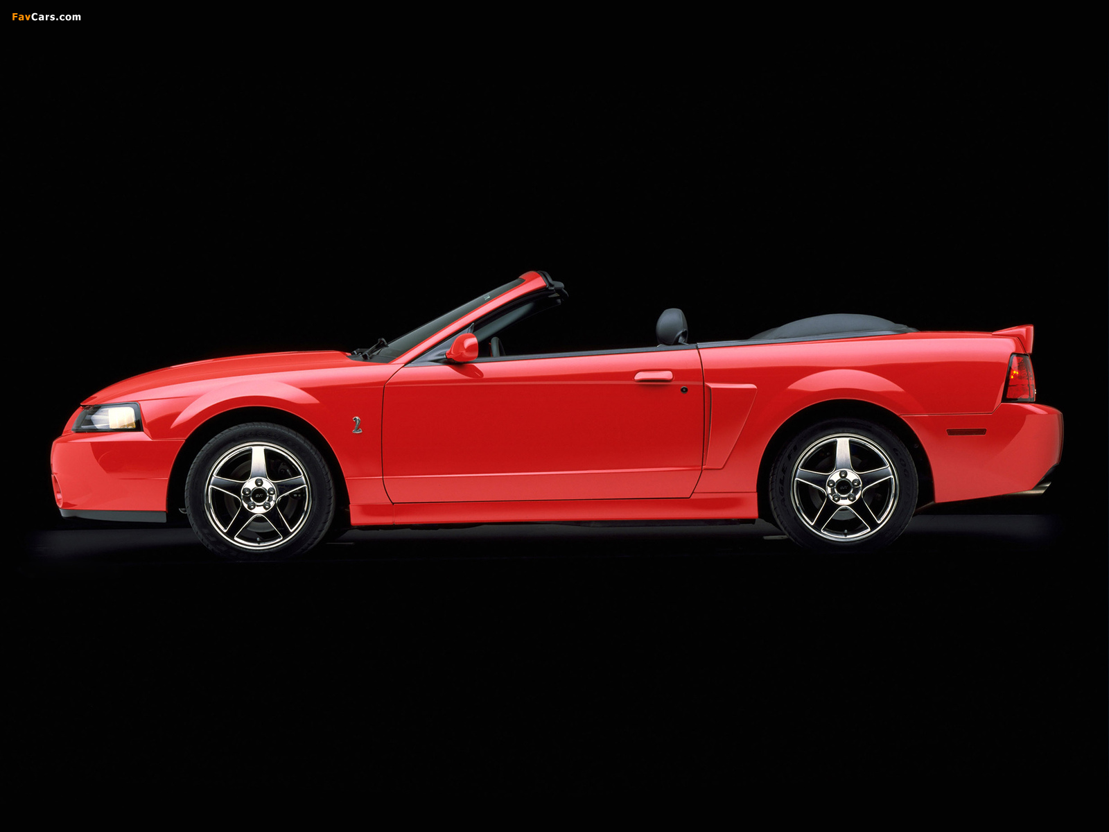 Pictures of Mustang SVT Cobra Convertible 2003–04 (1600 x 1200)