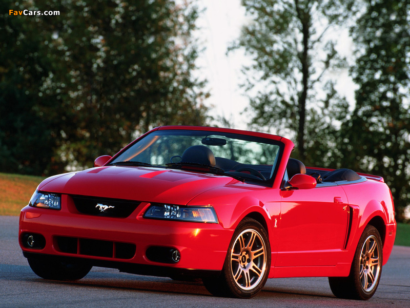Pictures of Mustang SVT Cobra Convertible 2004–05 (800 x 600)
