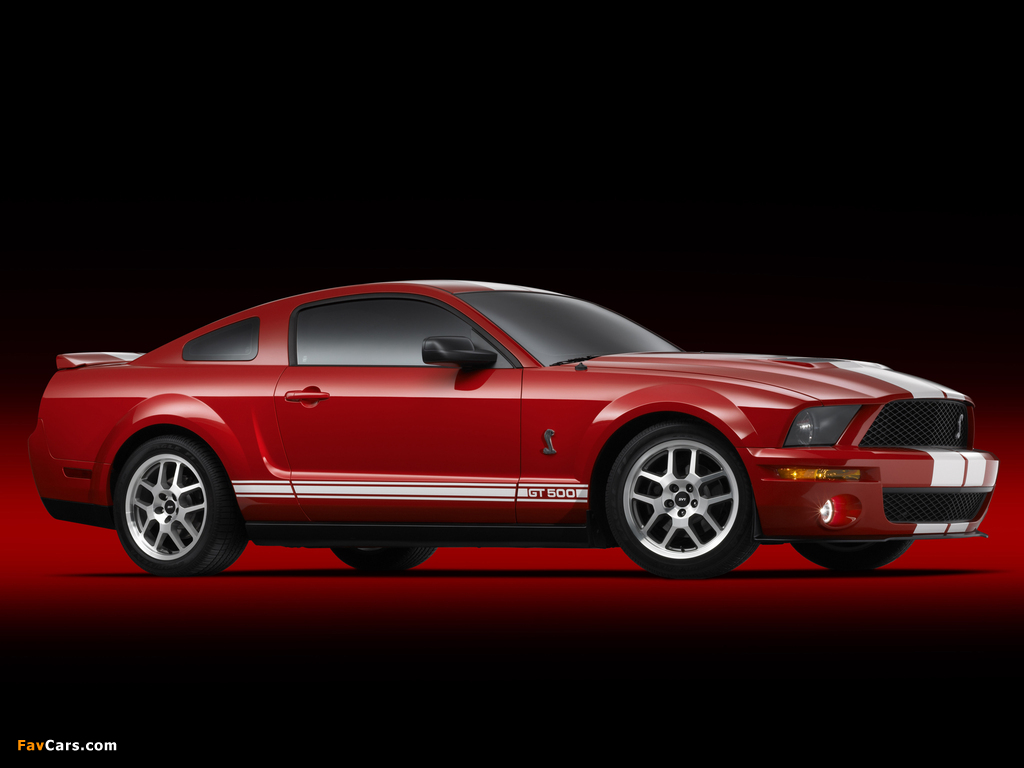 Pictures of Shelby GT500 2005–08 (1024 x 768)