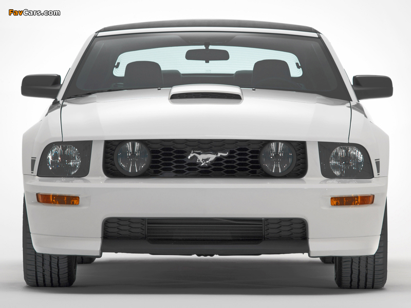 Pictures of Mustang GT California Special 2007 (800 x 600)