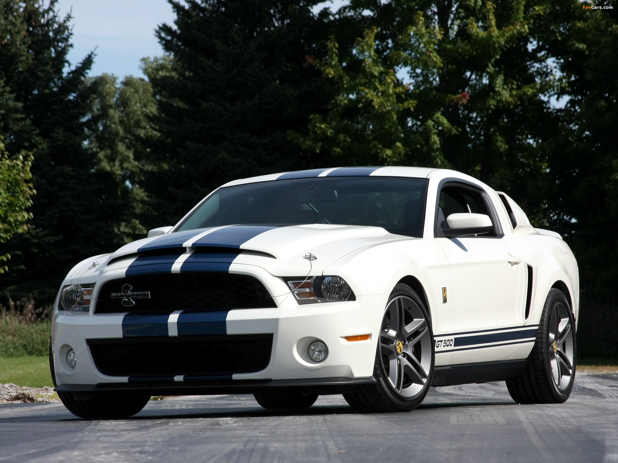 Pictures of Shelby GT500 Patriot Edition 2009 (2048 x 1536)