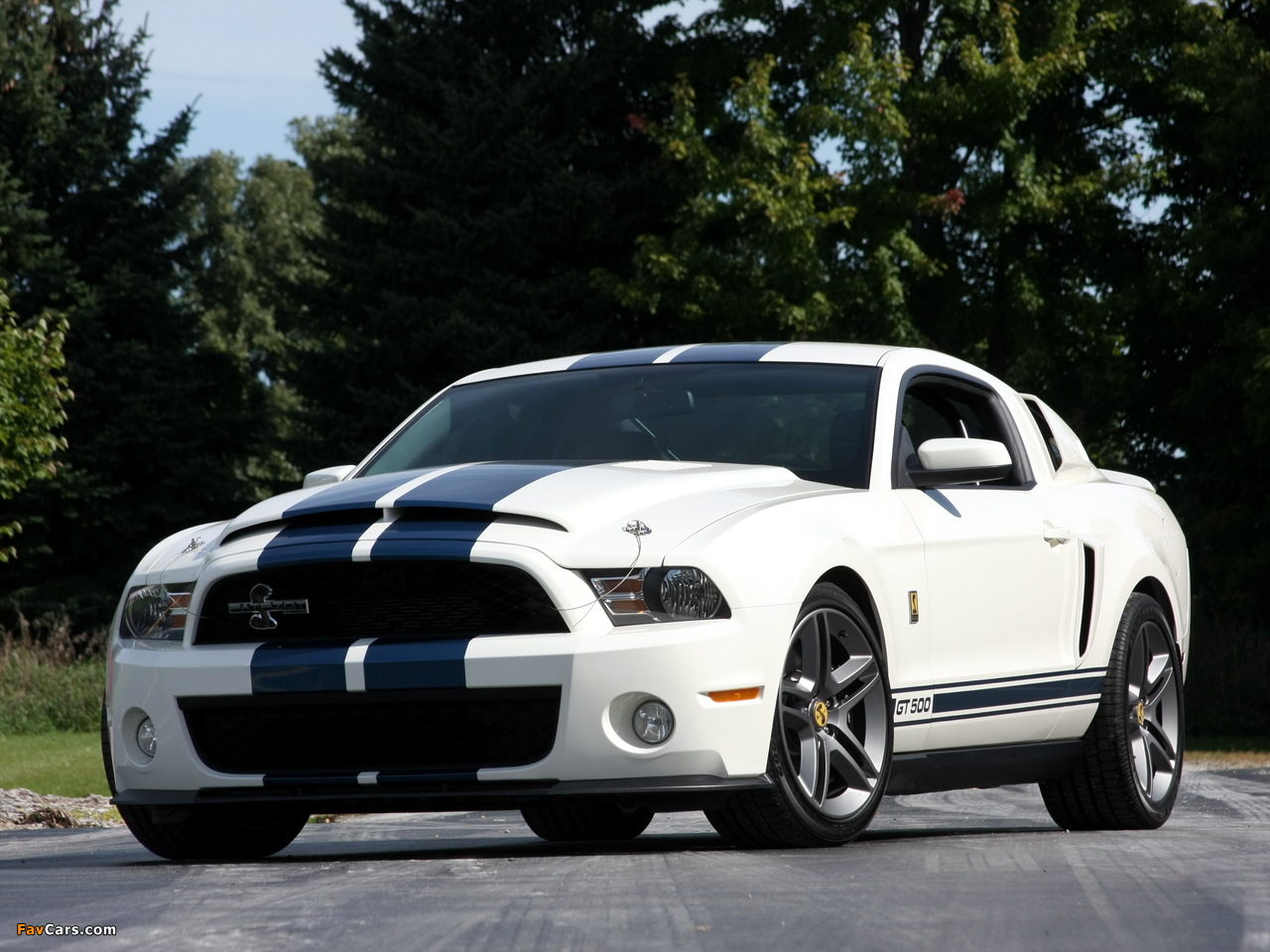Pictures of Shelby GT500 Patriot Edition 2009 (1280 x 960)