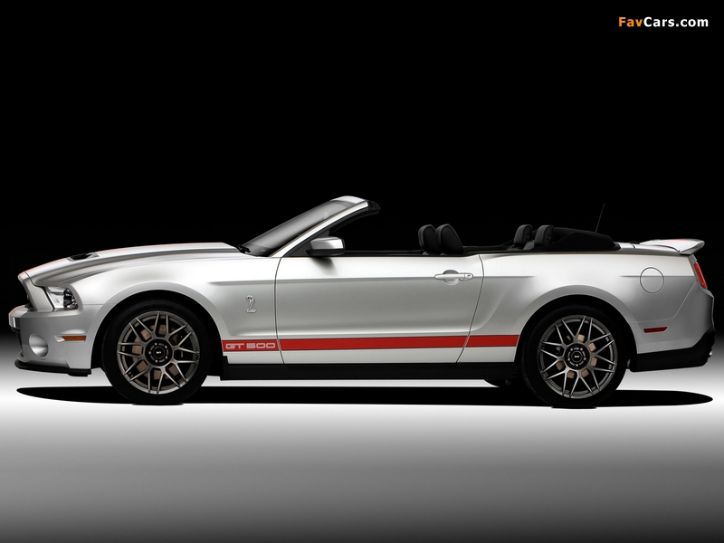 Pictures of Shelby GT500 SVT Convertible 2010–12 (800 x 600)