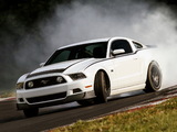 Pictures of Mustang RTR Package 2012