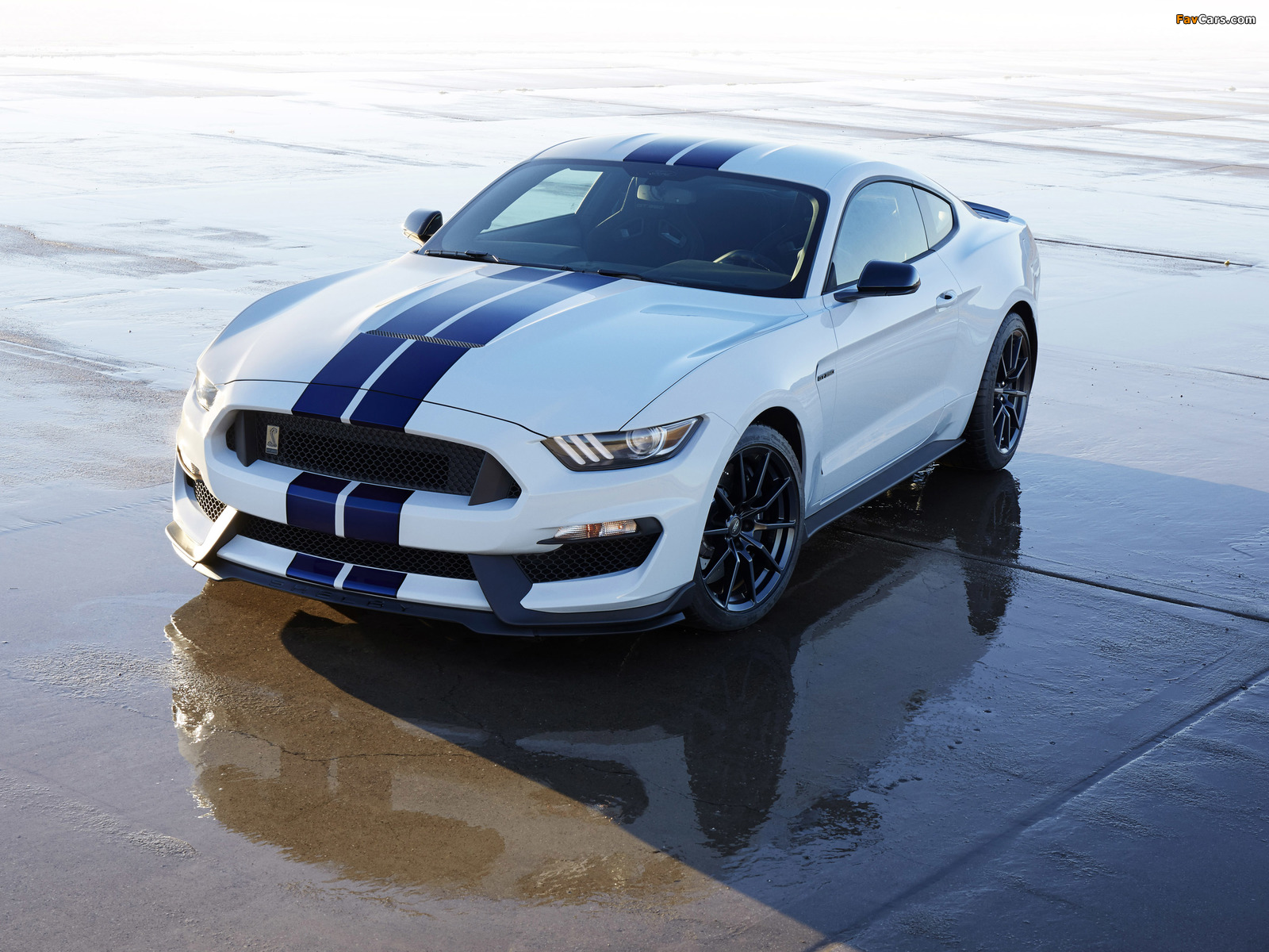 Pictures of Shelby GT350 Mustang 2015 (1600 x 1200)