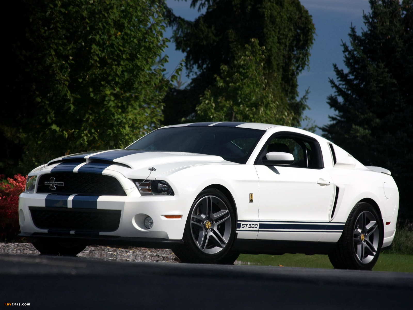 Shelby GT500 Patriot Edition 2009 wallpapers (1600 x 1200)