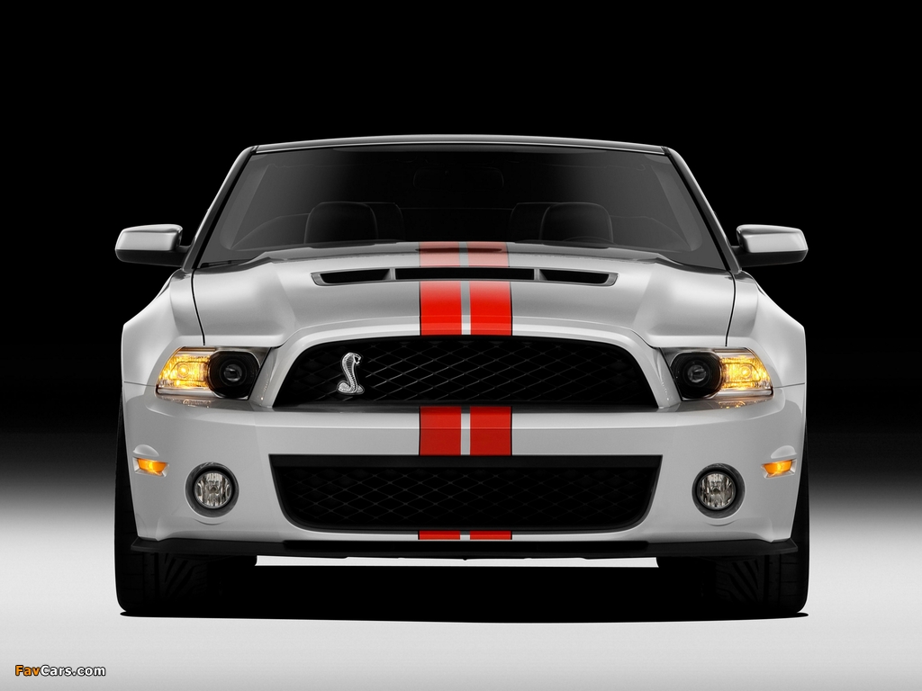 Shelby GT500 SVT Convertible 2010–12 wallpapers (1024 x 768)