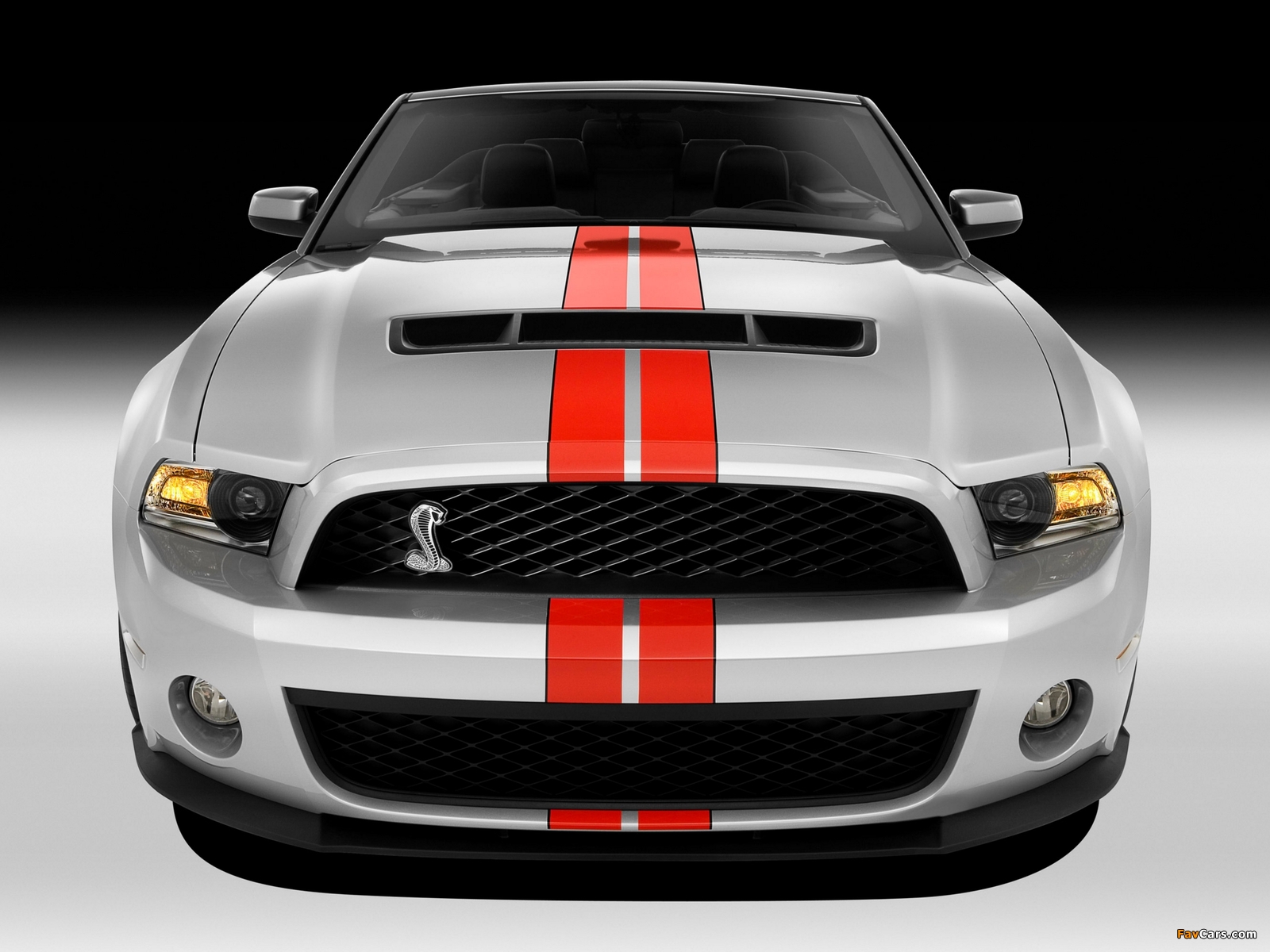 Shelby GT500 SVT Convertible 2010–12 wallpapers (1600 x 1200)