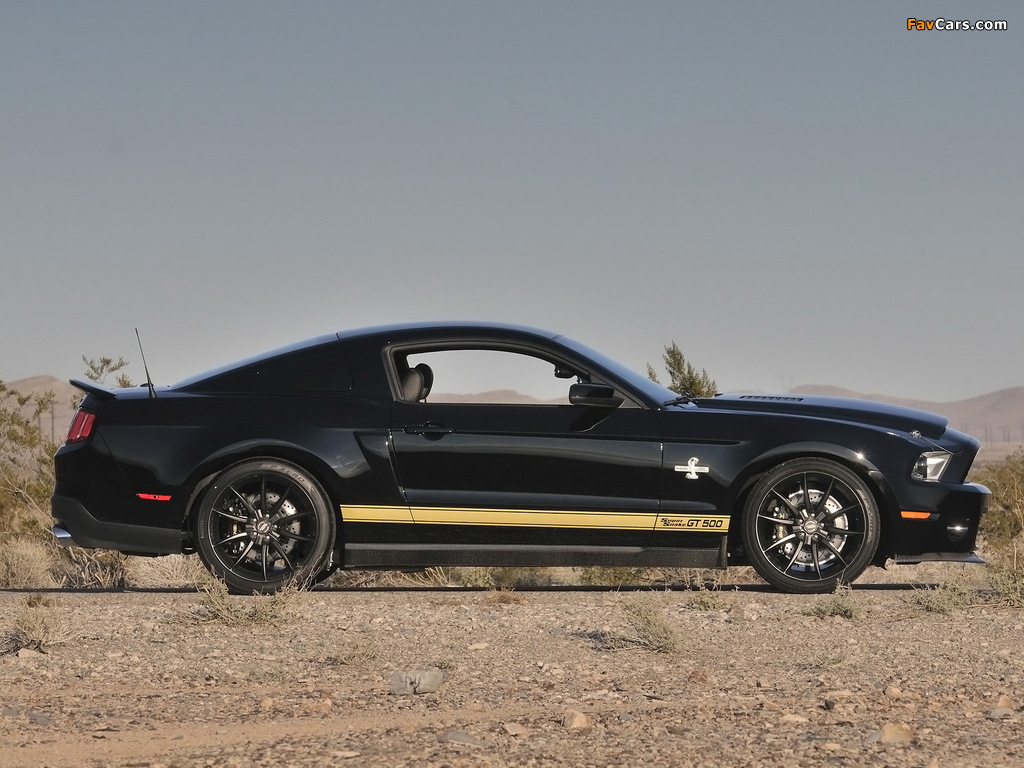 Shelby GT500 Super Snake 50th Anniversary 2012 wallpapers (1024 x 768)
