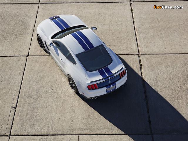 Shelby GT350 Mustang 2015 wallpapers (640 x 480)