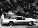 Ford Thunderbird 1973 pictures