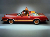Ford Thunderbird Sport T-Roof Convertible 1978 images