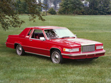 Pictures of Ford Thunderbird Heritage 1981–82