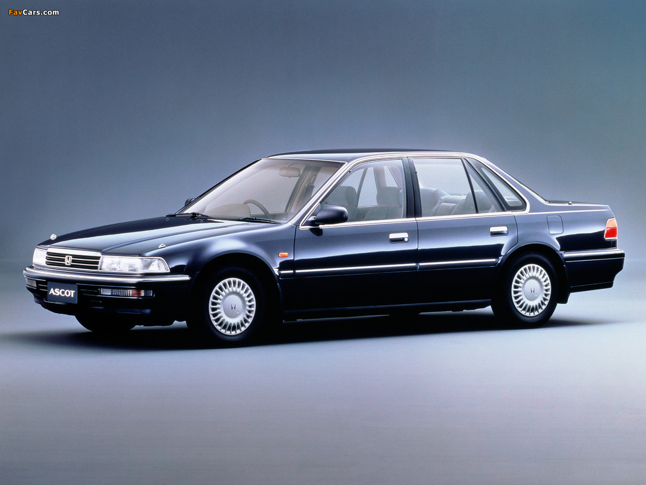 Pictures of Honda Ascot (CB) 1989–93 (1280 x 960)