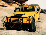 Hummer H1 Convertible 1992–2005 pictures