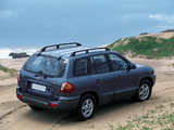 Hyundai Santa Fe ZA-spec (SM) 2002–05 pictures