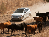 Hyundai Santa Fe Sport AWD US-spec (2013) images