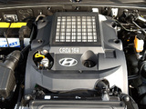 Images of Hyundai Terracan 2001–04