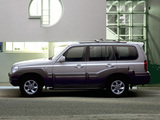 Photos of Hyundai Terracan 2004–07