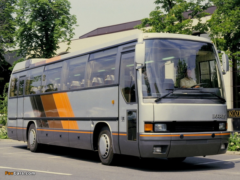 Images of Ikarus 385 1985–89 (800 x 600)