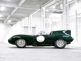 Jaguar D-Type 1955–57 images