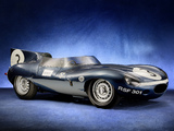 Jaguar D-Type 1955–57 pictures