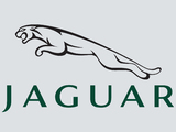 Images of Jaguar