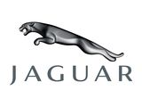 Pictures of Jaguar