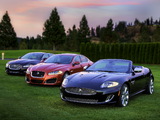 Jaguar images
