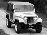 Jeep CJ-7 Renegade 1979–80 photos
