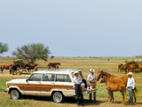 Photos of Jeep Grand Wagoneer 1984–85
