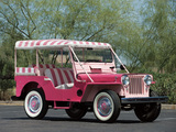 Willys Jeep Surrey (DJ-3A) 1959–64 images