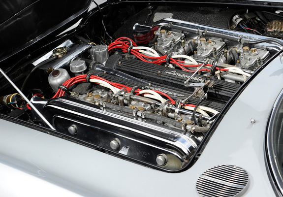 Lamborghini 350 GT 1964–66 images