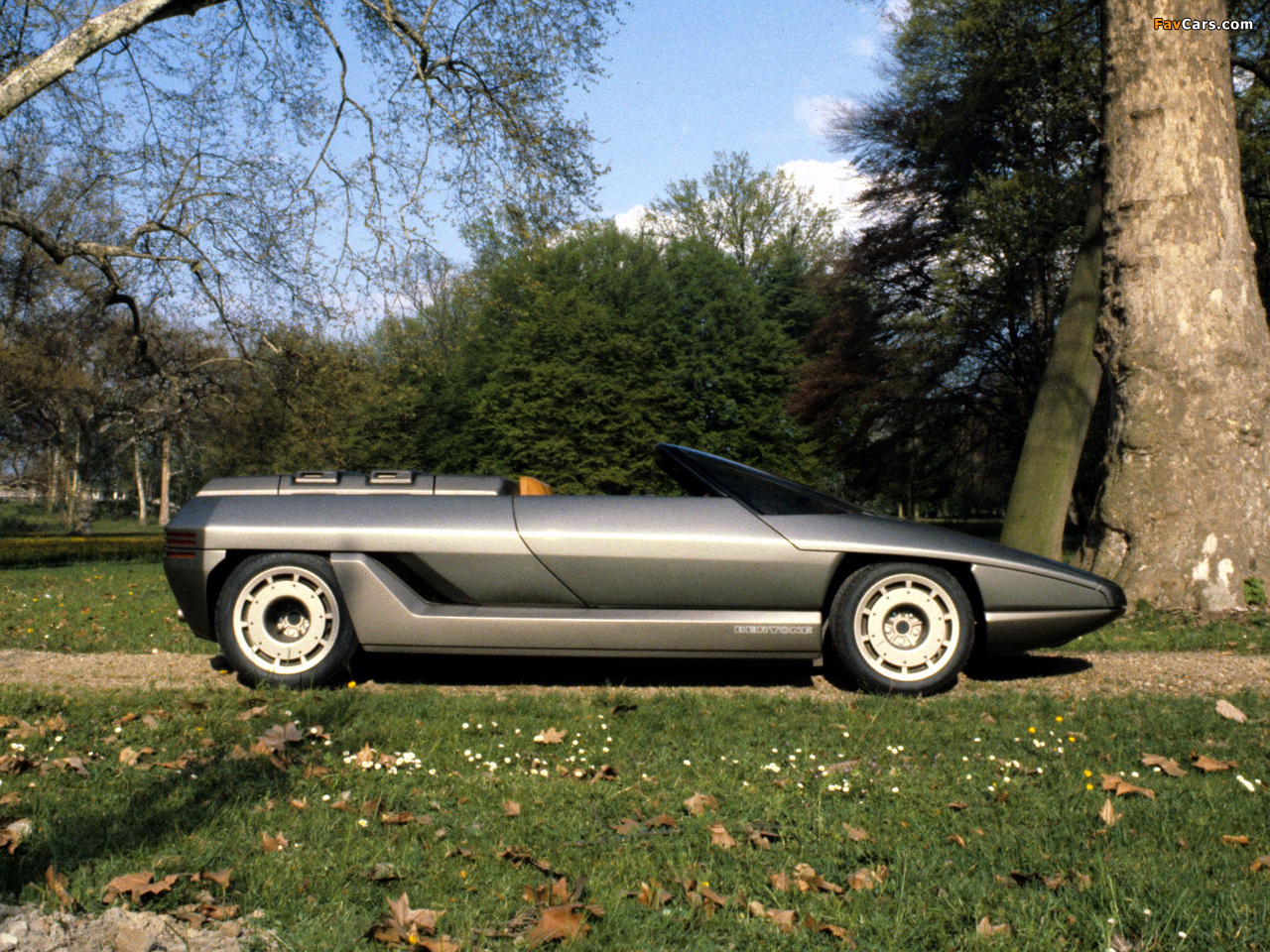 Lamborghini Athon 1980 pictures (1280 x 960)