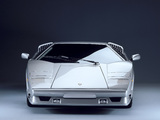 Lamborghini Countach 25th Anniversary 1988–90 images