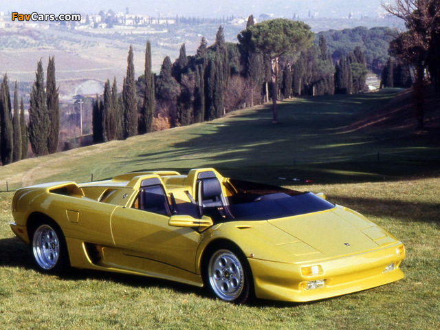 Lamborghini Diablo Roadster Prototype 1992 photos (640 x 480)