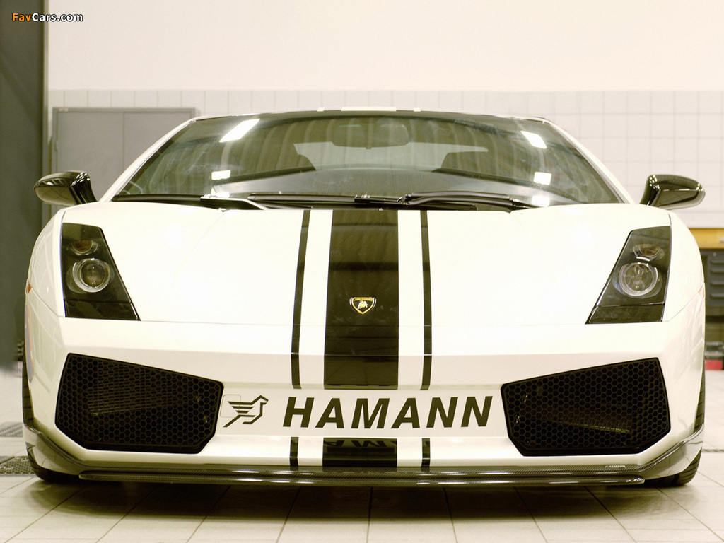 Photos of Hamann Lamborghini Gallardo 2004–08 (1024 x 768)